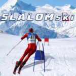 SLALOM SKI SIMULATOR Game