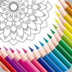 Mandala Coloring Book