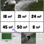 CALCULATE AREA Puzzle