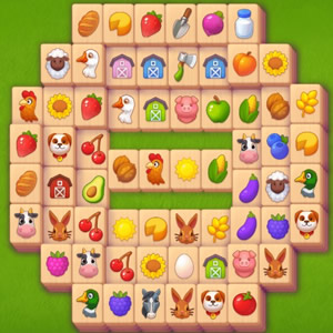 Tetris na Fazenda em COQUINHOS