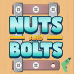 NUTS and BOLTS Screw Puzzle Game