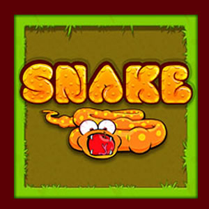 Crazy Snake .IO • COKOGAMES